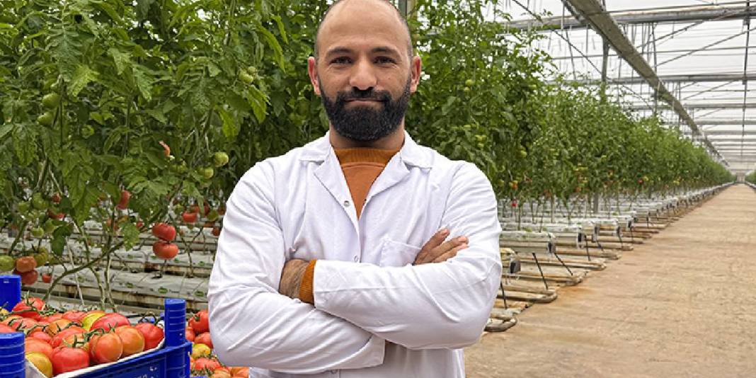 Güneş enerjisi destekli topraksız üretim: Yılda 600 tonu buluyor 3